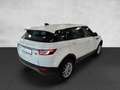 Land Rover Range Rover Evoque Pure 2.0 TD4 AHK NAVI SHZ KLIMAAT. Weiß - thumbnail 6