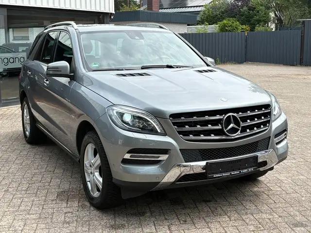 Mercedes-Benz M Class view 2