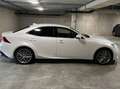 Lexus IS 300 IS 300h 2.5i Privilège Line E-CVT (EU6.2) Weiß - thumbnail 4