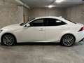 Lexus IS 300 IS 300h 2.5i Privilège Line E-CVT (EU6.2) Weiß - thumbnail 2