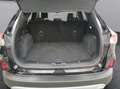 Ford Kuga 2.0 ECOBLUE Titanium 2wd 120cv automatica Schwarz - thumbnail 24