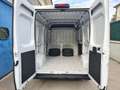 Fiat Ducato SERIE 8 35q - LH2 140 CV Wit - thumbnail 12