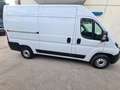 Fiat Ducato SERIE 8 35q - LH2 140 CV Wit - thumbnail 4