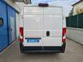 Fiat Ducato SERIE 8 35q - LH2 140 CV Wit - thumbnail 8