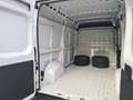 Fiat Ducato SERIE 8 35q - LH2 140 CV Wit - thumbnail 11