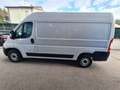 Fiat Ducato SERIE 8 35q - LH2 140 CV Wit - thumbnail 9
