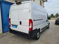 Fiat Ducato SERIE 8 35q - LH2 140 CV Wit - thumbnail 7