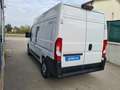 Fiat Ducato SERIE 8 35q - LH2 140 CV Wit - thumbnail 6