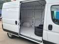 Fiat Ducato SERIE 8 35q - LH2 140 CV Wit - thumbnail 5