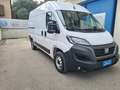 Fiat Ducato SERIE 8 35q - LH2 140 CV Wit - thumbnail 1