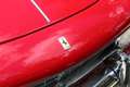 Ferrari 250 GTE Rouge - thumbnail 21