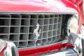 Ferrari 250 GTE Rot - thumbnail 18