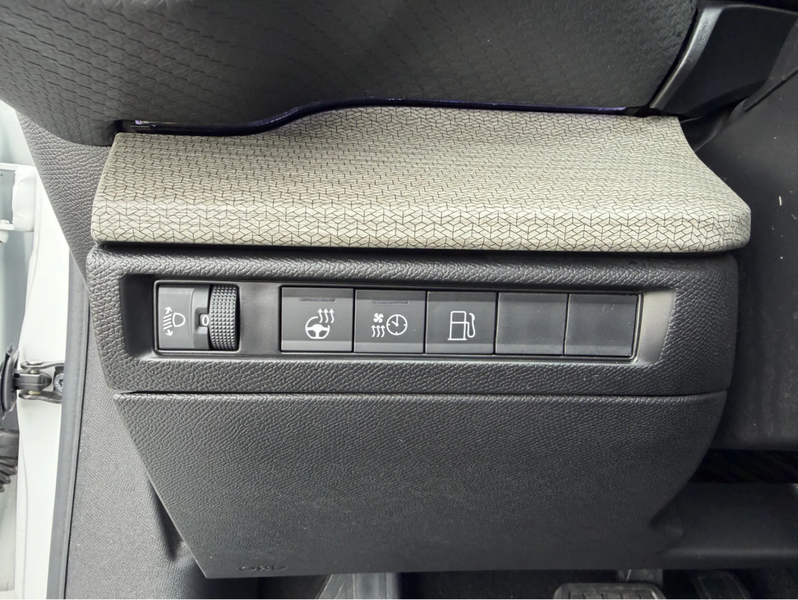 Citroen C5 X 1.6 Plug-in Hybrid 225 Shine Volledig leder, Memor — photo 10