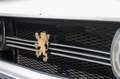 Peugeot 504 Coupe injectie Blanc - thumbnail 11