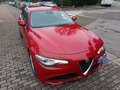 Alfa Romeo Giulia Giulia 2020 2.2 t Business 160cv auto Rosso - thumbnail 1