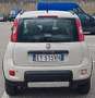 Fiat Panda Panda 1.3 MJT S&S 4x4 Beige - thumbnail 5