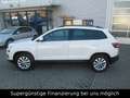 Skoda Karoq Ambition,KLIMA,GARANTIE,NAVI Weiß - thumbnail 22