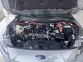 Ford Kuga Plug-In Hybrid Titanium Gris - thumbnail 13
