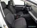 Volkswagen Golf 1.5 eTSI Life DSG Navi / AHK / Kamera / LED Weiß - thumbnail 6