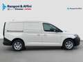 Volkswagen Caddy Caddy 2.0 TDI 102 CV Furgone Business Maxi Bianco - thumbnail 2