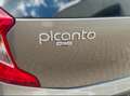 Kia Picanto Picanto 1.2 ISG Dream-Team Edition Grau - thumbnail 5