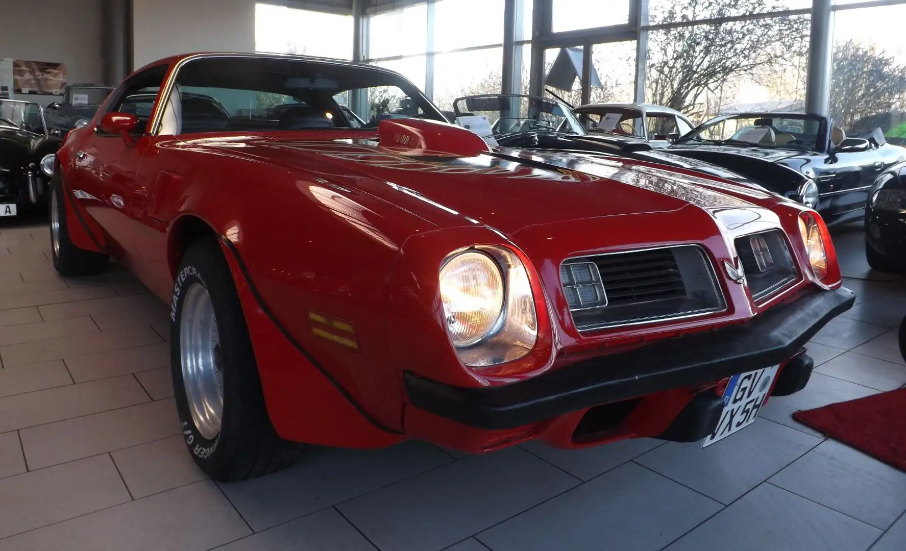 Pontiac Trans Am -garantiert echt und auch gnadenlos gut! - 2