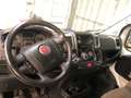Fiat Ducato 2.3 mjt 9 posti panorama Bianco - thumbnail 4