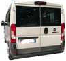 Fiat Ducato 2.3 mjt 9 posti panorama Bianco - thumbnail 3