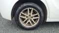 Toyota Verso 1.6 D-4D 112 Feel Weiß - thumbnail 16