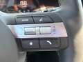 Hyundai TUCSON NX4 Jubile 1,6 T-GDi 2WD 48V t5bj1 Grün - thumbnail 18