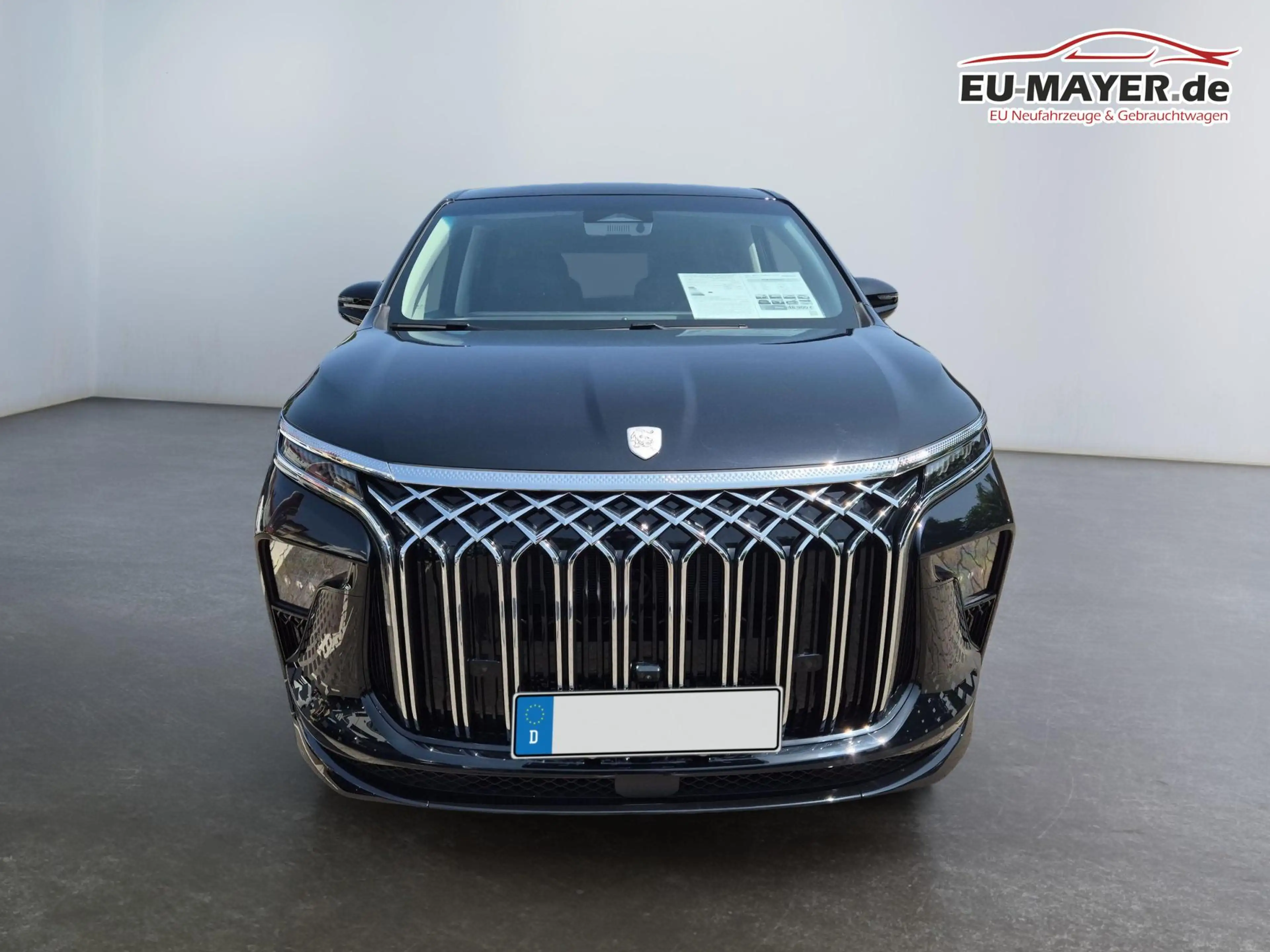 Forthing 1.5 180kW AT HYBRID / 7-Sitzer sofort verfügbar... — photo 2
