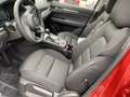 Mazda CX-5 SKYACTIV-D 150 6AG  AD´VANTAGE Red - thumbnail 11