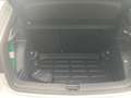 Skoda Fabia Fabia 1.0 tsi evo Style 110cv Wit - thumbnail 5
