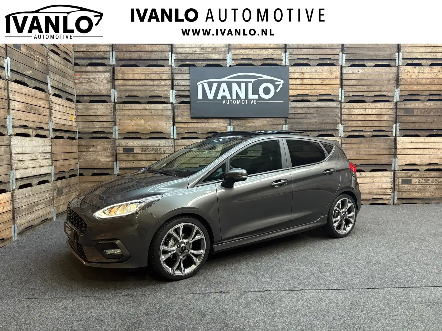 Ford Fiesta 1.0 EcoBoost ST-Line Pano Camera Clima Keyless Nav Grijs - 1