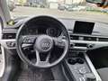 Audi A4 A4 Avant 30 2.0 tdi Sport 122cv s-tronic PERMUTE White - thumbnail 10