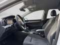 Volkswagen Golf VIII Golf Life 1,5 TSI ACT Weiß - thumbnail 9