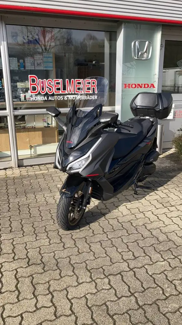 Honda Forza 125 Edition 2025 Gris - 2