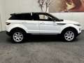 Land Rover Range Rover Evoque 2.0 Si 4WD Prestige PANORAMADAK LEDER STOELVERWARM Wit - thumbnail 4