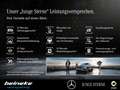 Mercedes-Benz X 250 X 250 d 4M PROGRESSIVE AHK 3,5 t Navi Kamera SH Blanco - thumbnail 2