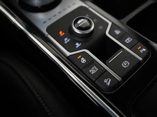 Kia Sorento view 12