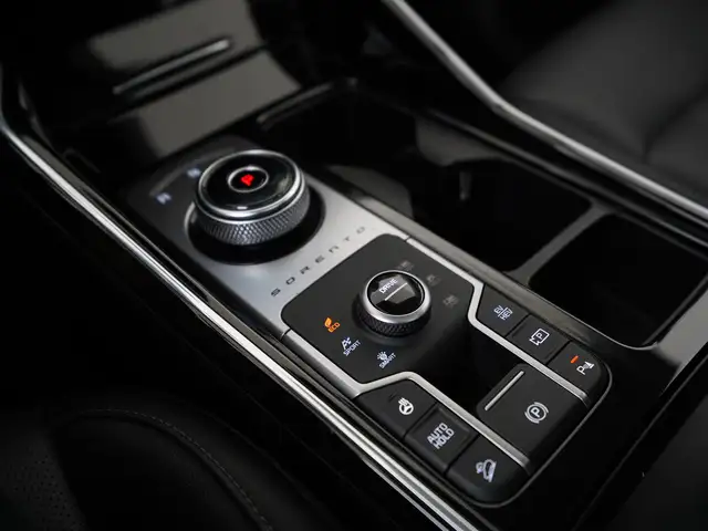 Kia Sorento view 11