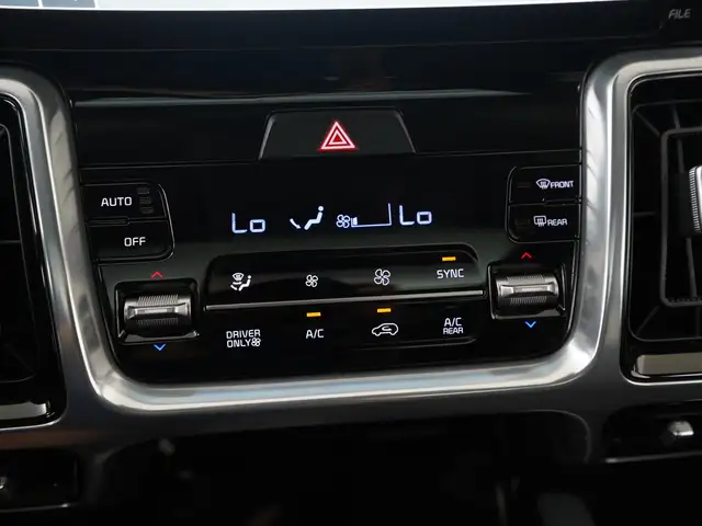 Kia Sorento view 14