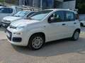 Fiat Panda 1.2 BENZINA KM.  CERTIFICATI Bianco - thumbnail 8