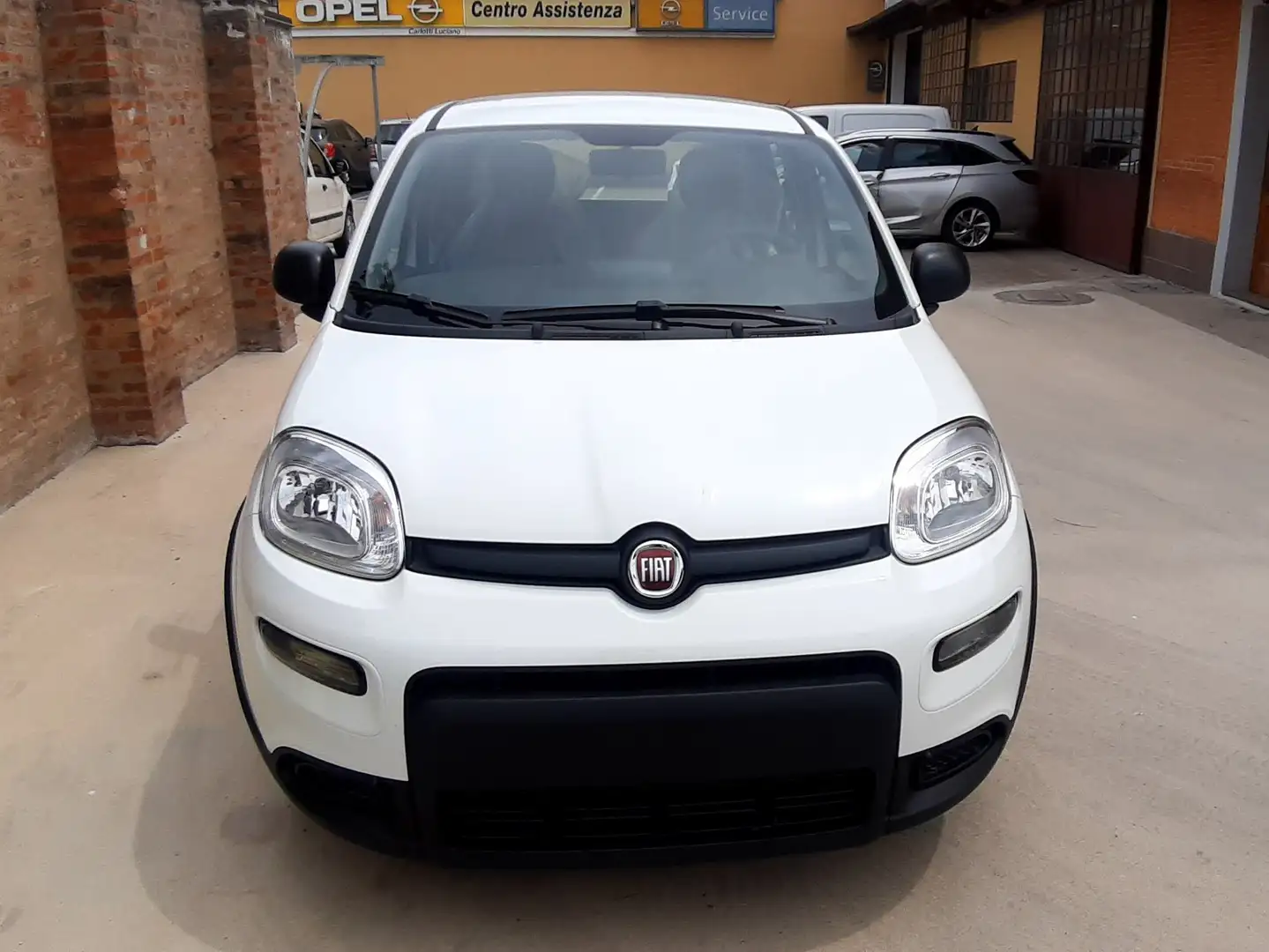 Fiat Panda 1.0 firefly hybrid s Bianco - 2