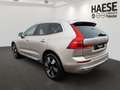 Volvo XC60 T6 Plus Bright Plug-In Hybrid AWD EU6e Luftfederun Gold - thumbnail 7