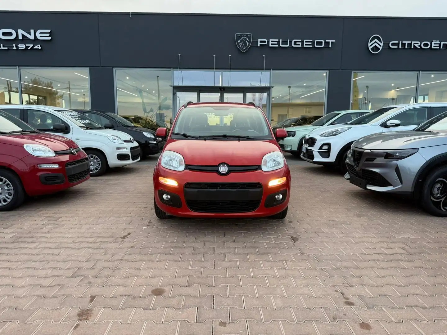 Fiat Panda Fiat Panda 1.2 Lounge Rosso - 2