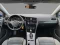 Volkswagen Golf Variant Golf VII Variant R-Line 1.5 TSI DSG LED KAM BLIN Blau - thumbnail 5