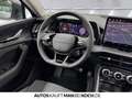 Skoda Kodiaq 2.0 TDI DSG 4x4 AHK MATRIX TOTW SH ACC Navi Gris - thumbnail 9