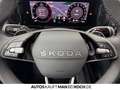 Skoda Kodiaq 2.0 TDI DSG 4x4 AHK MATRIX TOTW SH ACC Navi Gris - thumbnail 23
