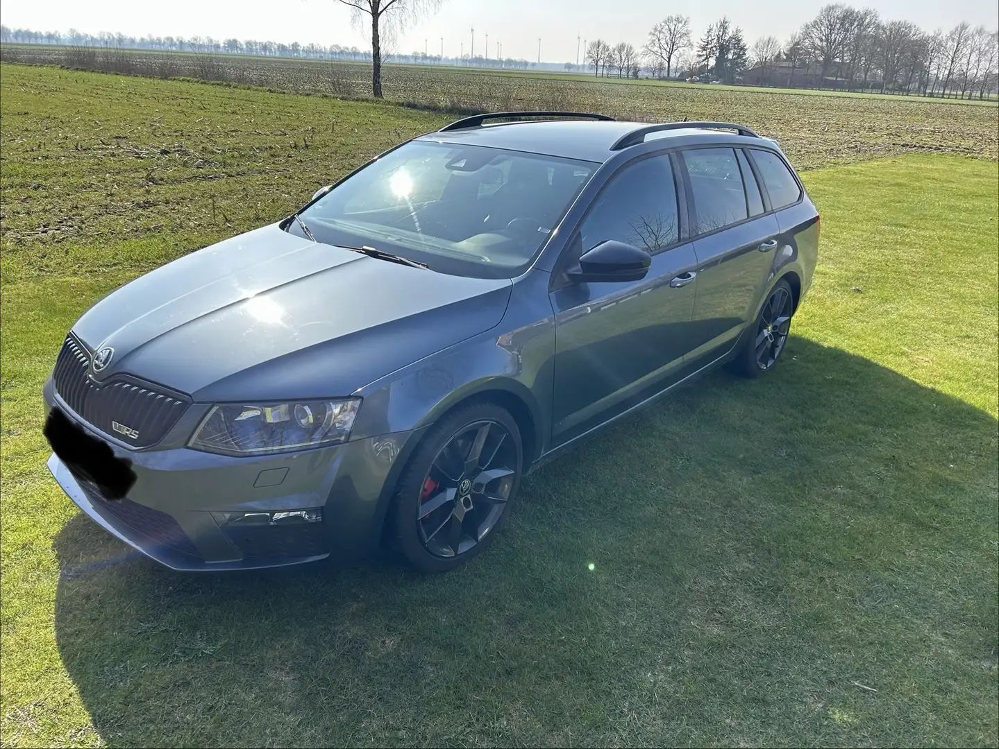 Skoda Octavia RS Grau - 1